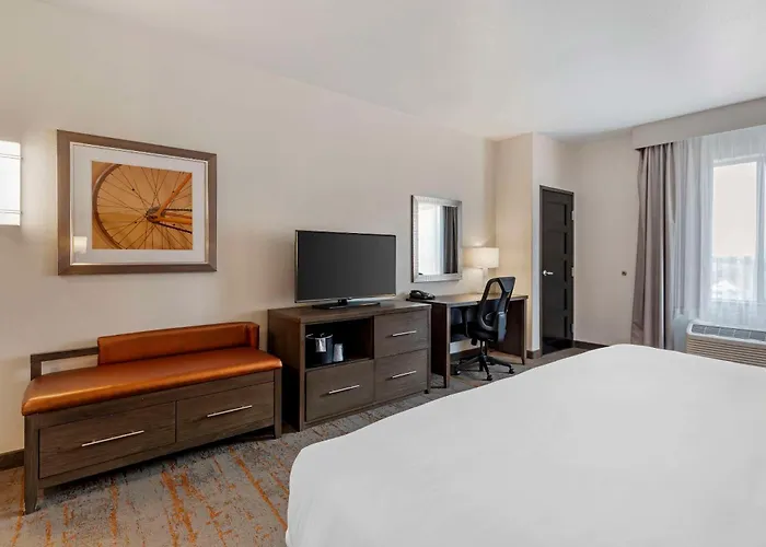 Comfort Inn & Suites Brighton Denver Ne Medical Center